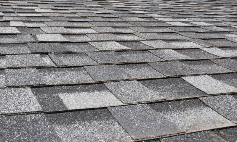 Close-up of asphalt shingles installed by Wolf River Construction, showcasing durable and high-quality roofing solutions.