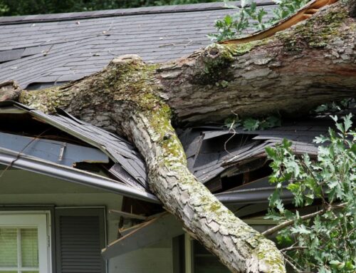 Storm Damage Repair in Woodbury