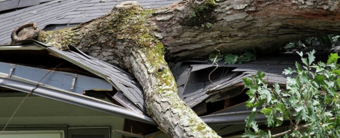 Storm Damage Repair in Woodbury