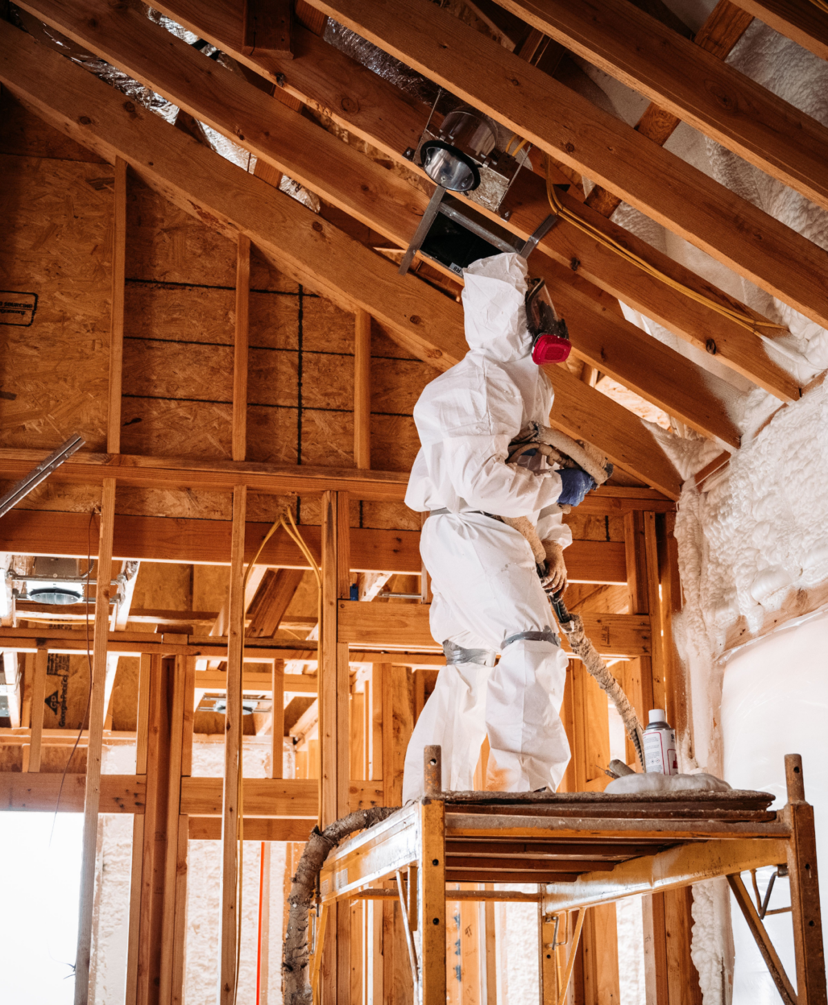 Worker inspecting and treating mold damage