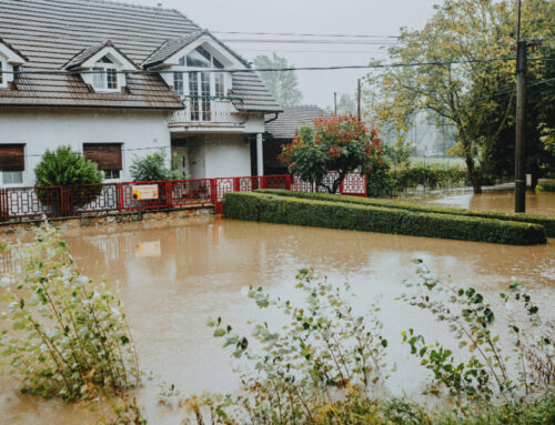 Who To Call For Water In Your Basement: A Homeowner’s Guide